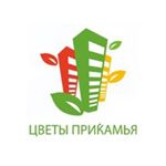 ГК КМПроджект